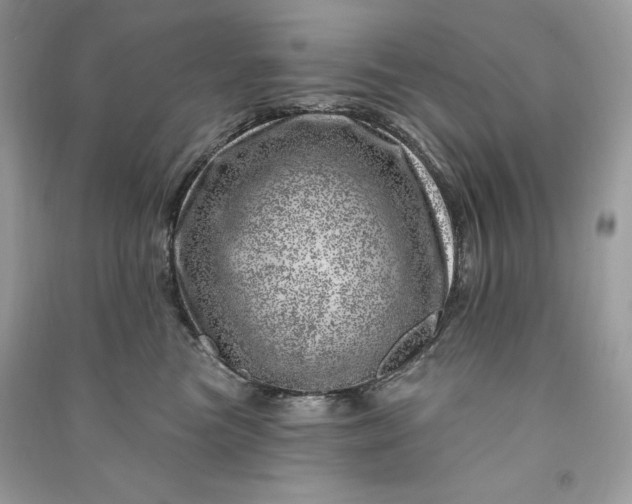 X0000090870473200708101337