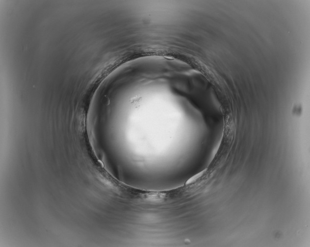 X0000090870474200708101337