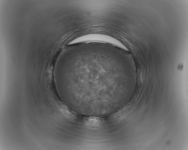 X0000090870475200708101337