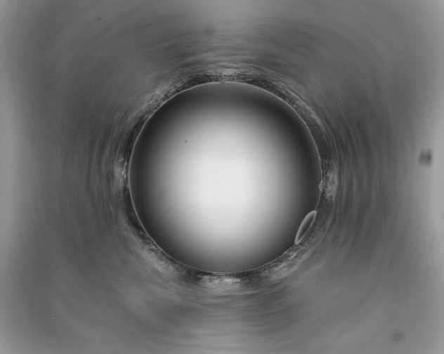 X0000090870476200708101337