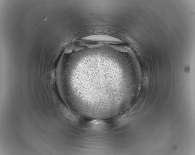 X0000090870477200708101337