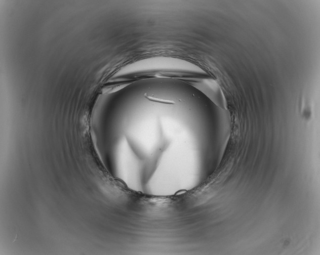 X0000090870478200708101337