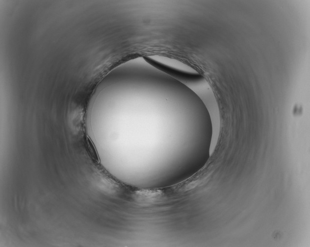 X0000090870480200708101337