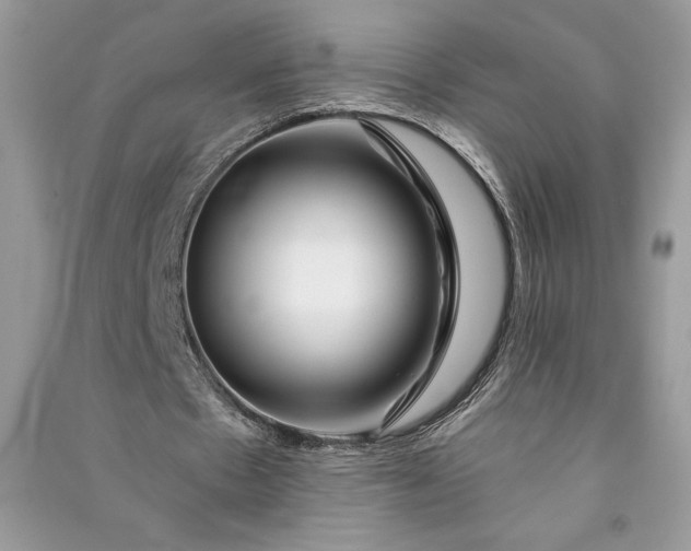 X0000090870481200708101337