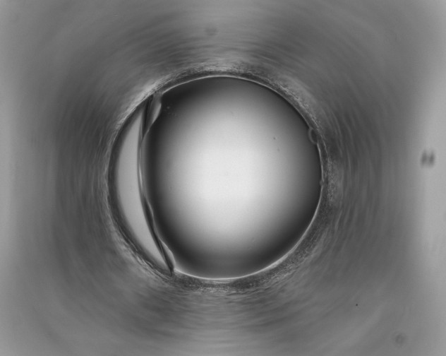 X0000090870482200708101337