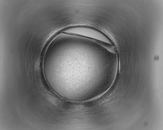 X0000090870483200708101337