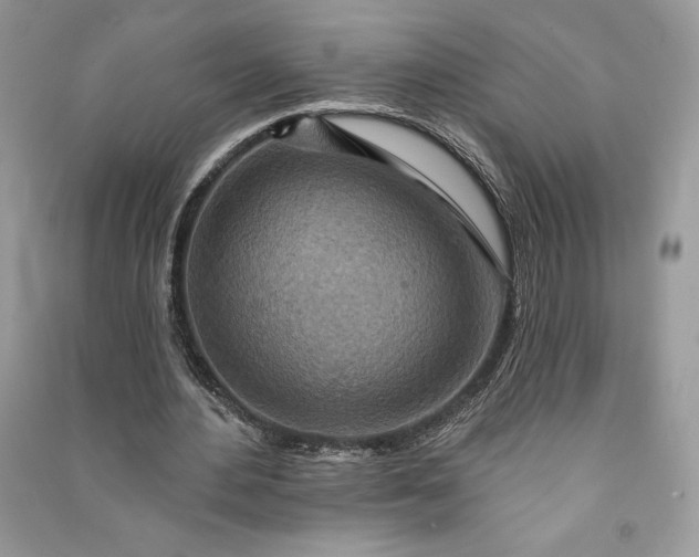 X0000090870484200708101337