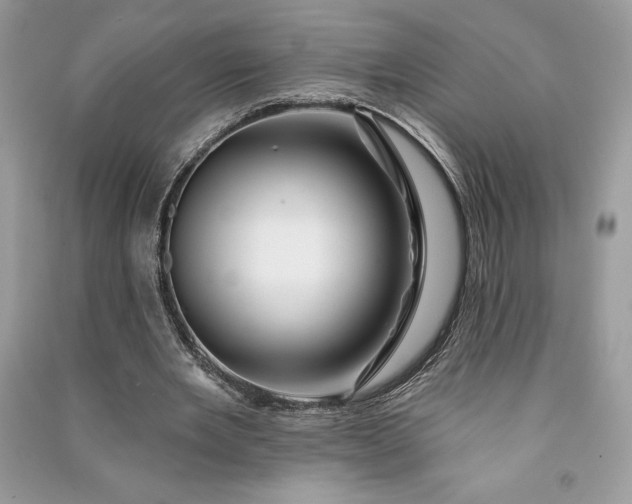 X0000090870485200708101337