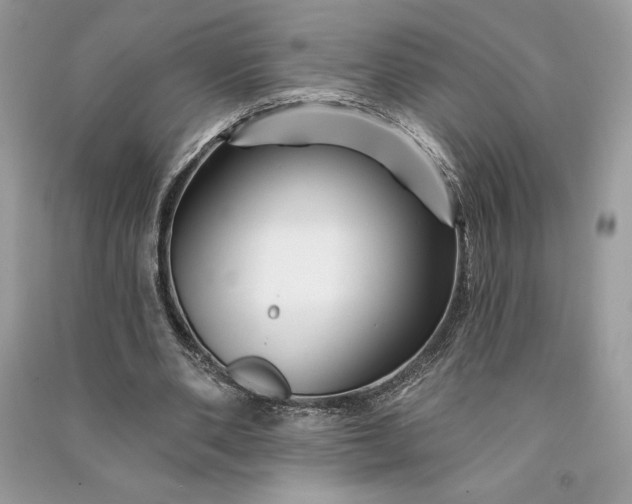 X0000090870486200708101337