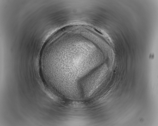 X0000090870487200708101337