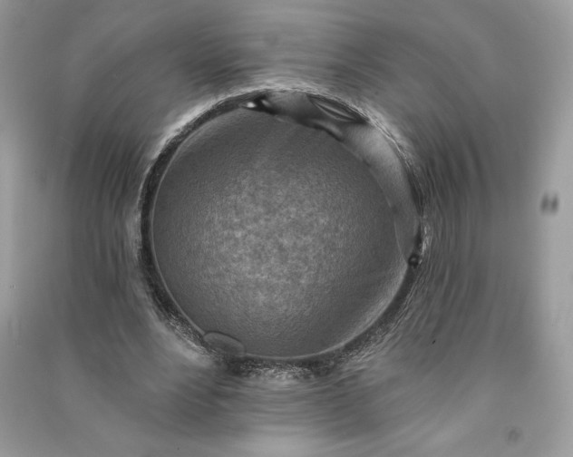 X0000090870488200708101337