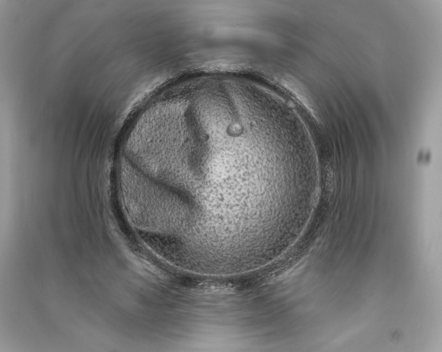 X0000090870491200708101337