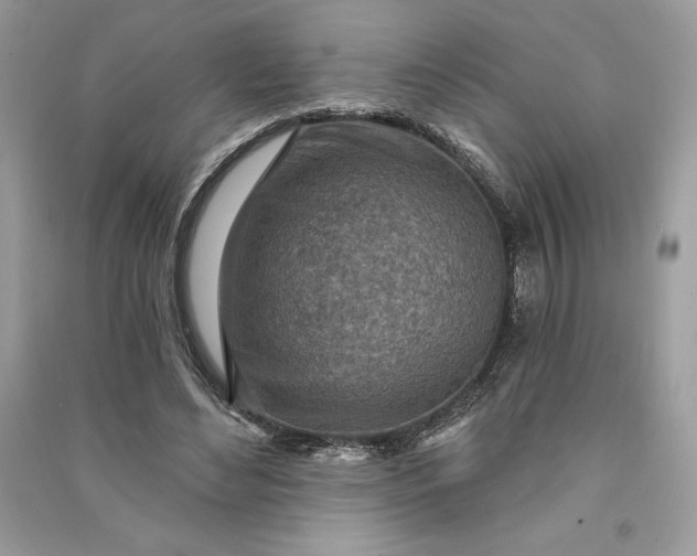 X0000090870492200708101337