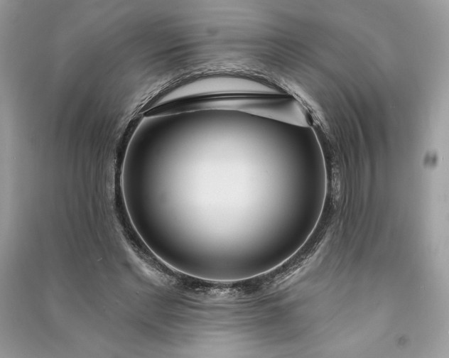 X0000090870493200708101337