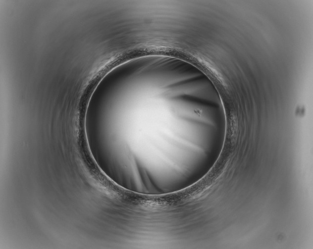 X0000090870494200708101337