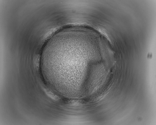 X0000090870495200708101337