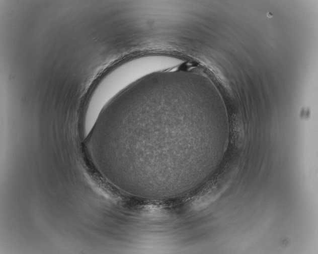 X0000090870496200708101337