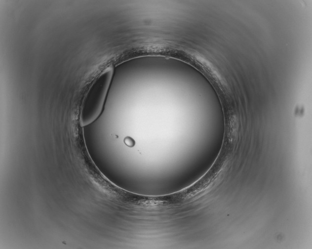 X0000090870497200708101337