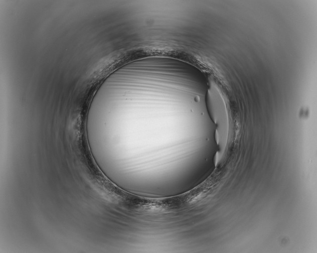 X0000090870498200708101337