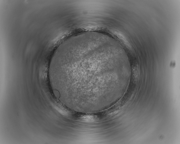 X0000090870499200708101337