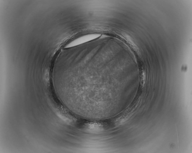 X0000090870500200708101337