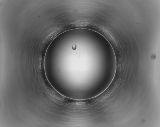 X0000090870501200708101337