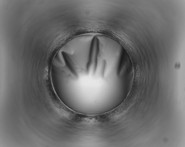 X0000090870502200708101336