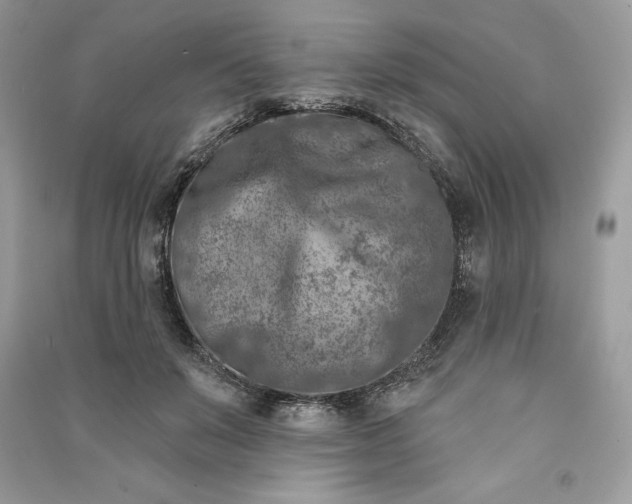 X0000090870503200708101336