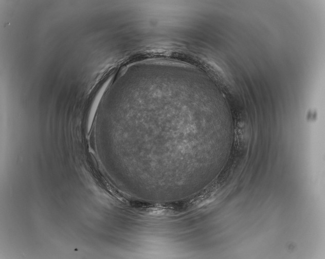 X0000090870504200708101336