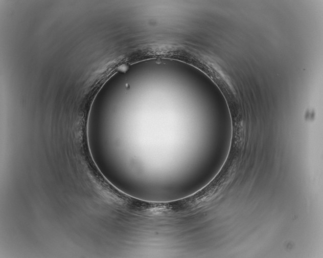 X0000090870505200708101336