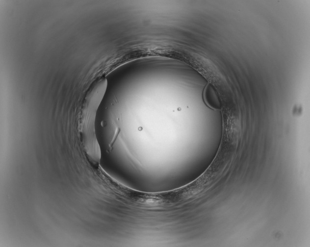 X0000090870506200708101336