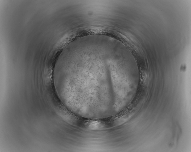 X0000090870507200708101336