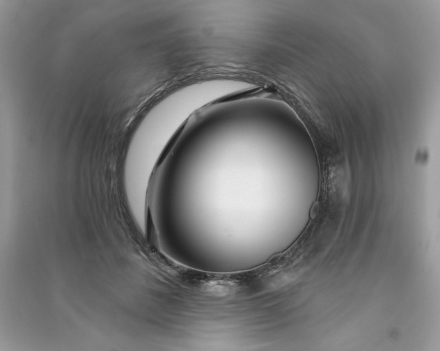 X0000090870508200708101336