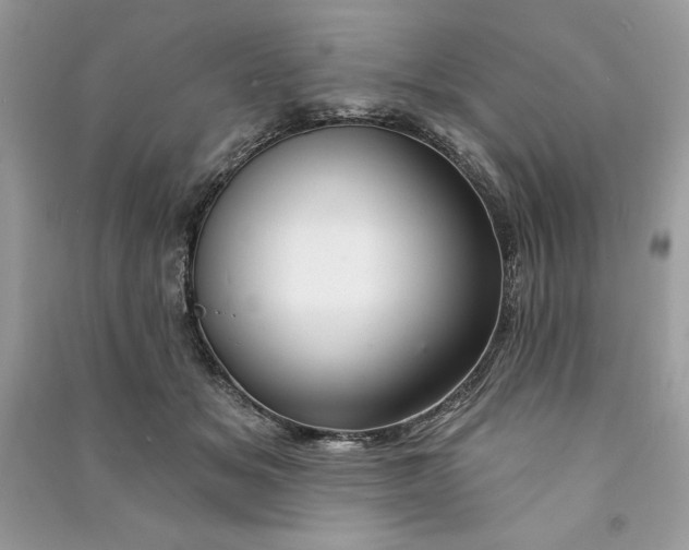 X0000090870509200708101336