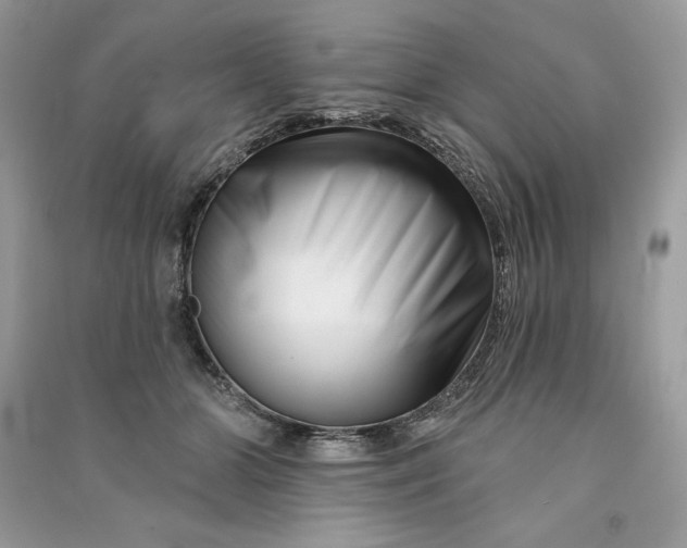 X0000090870510200708101336