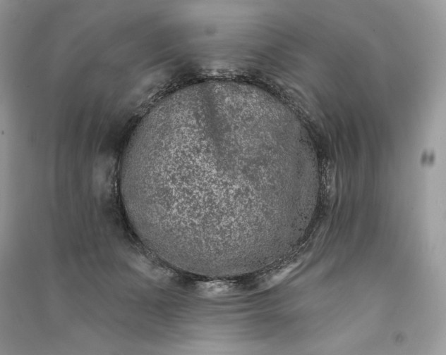 X0000090870511200708101336