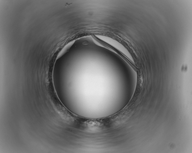 X0000090870512200708101336