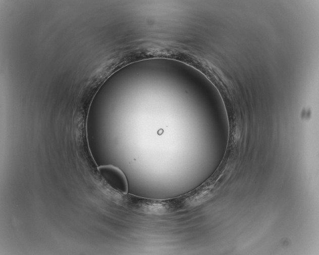 X0000090870513200708101336