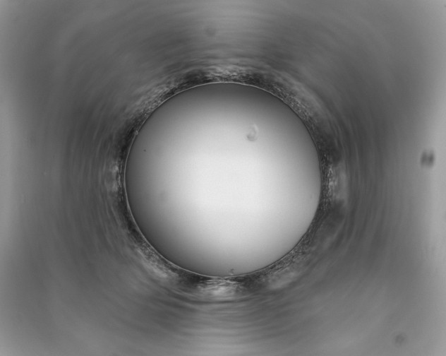 X0000090870514200708101336