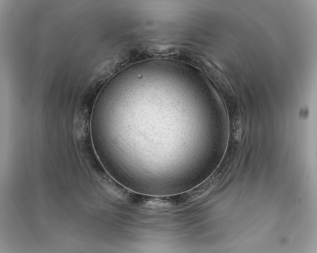 X0000090870515200708101336