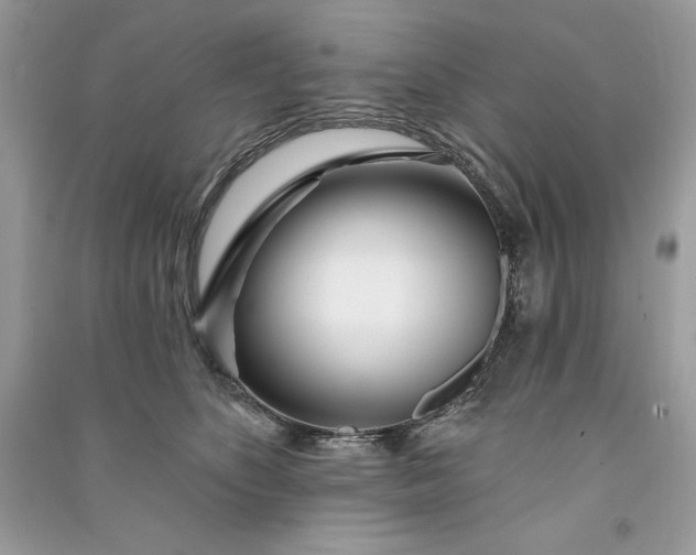 X0000090870516200708101336