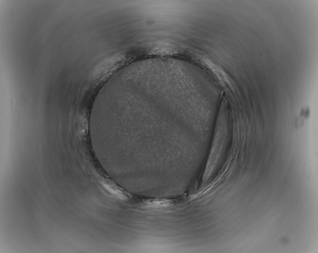 X0000090870517200708101336