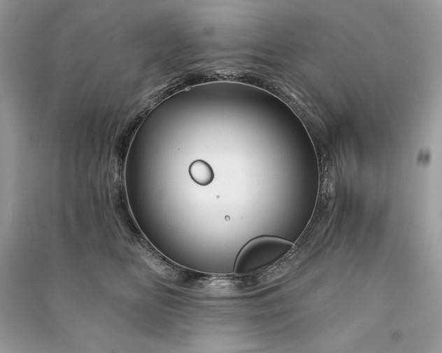 X0000090870518200708101336