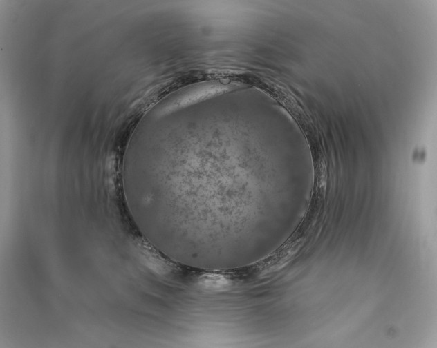 X0000090870519200708101336