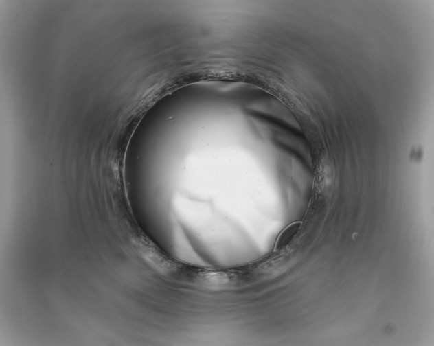 X0000090870522200708101336