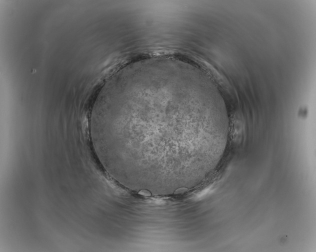 X0000090870523200708101336