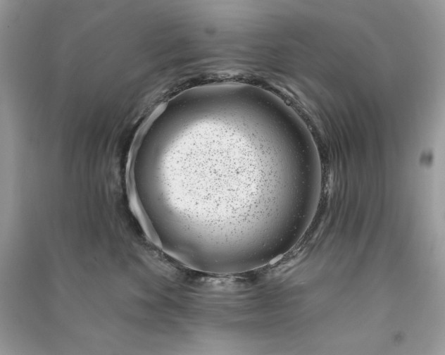 X0000090870524200708101336