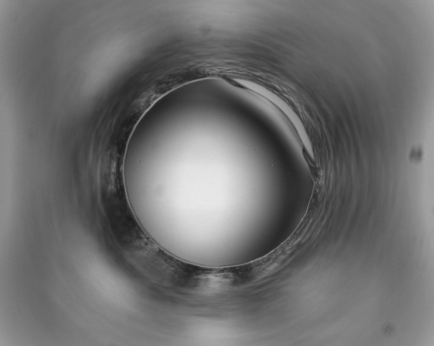 X0000090870525200708101336