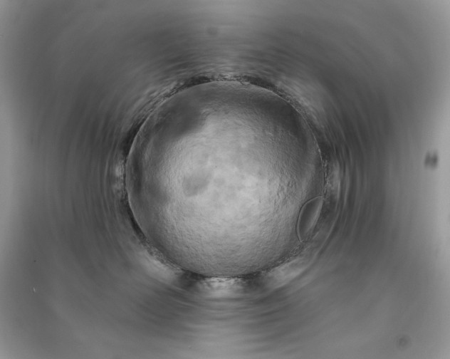 X0000090870526200708101336