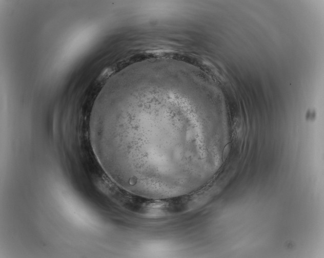 X0000090870527200708101336